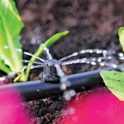 Hozelock 360? Adjustable End Of Line Mini Sprinkler (Pack Of 12) -Gardenia Shop 5010646040488 2