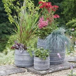 Woodlodge 23cm Milk Churn Planter -Gardenia Shop 5021346423570 2