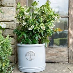 Woodlodge 38cm White / Cream Glazed Heritage Cylinder Pot -Gardenia Shop 5021346424430