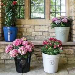 Woodlodge 33cm Pastel Grey Glazed Heritage Pot -Gardenia Shop 5021346425093 2