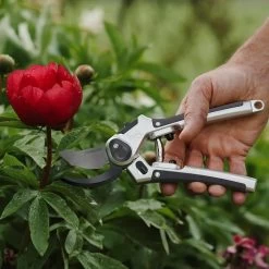 Eversharp All Purpose Secateurs -Gardenia Shop 5023377019623 5