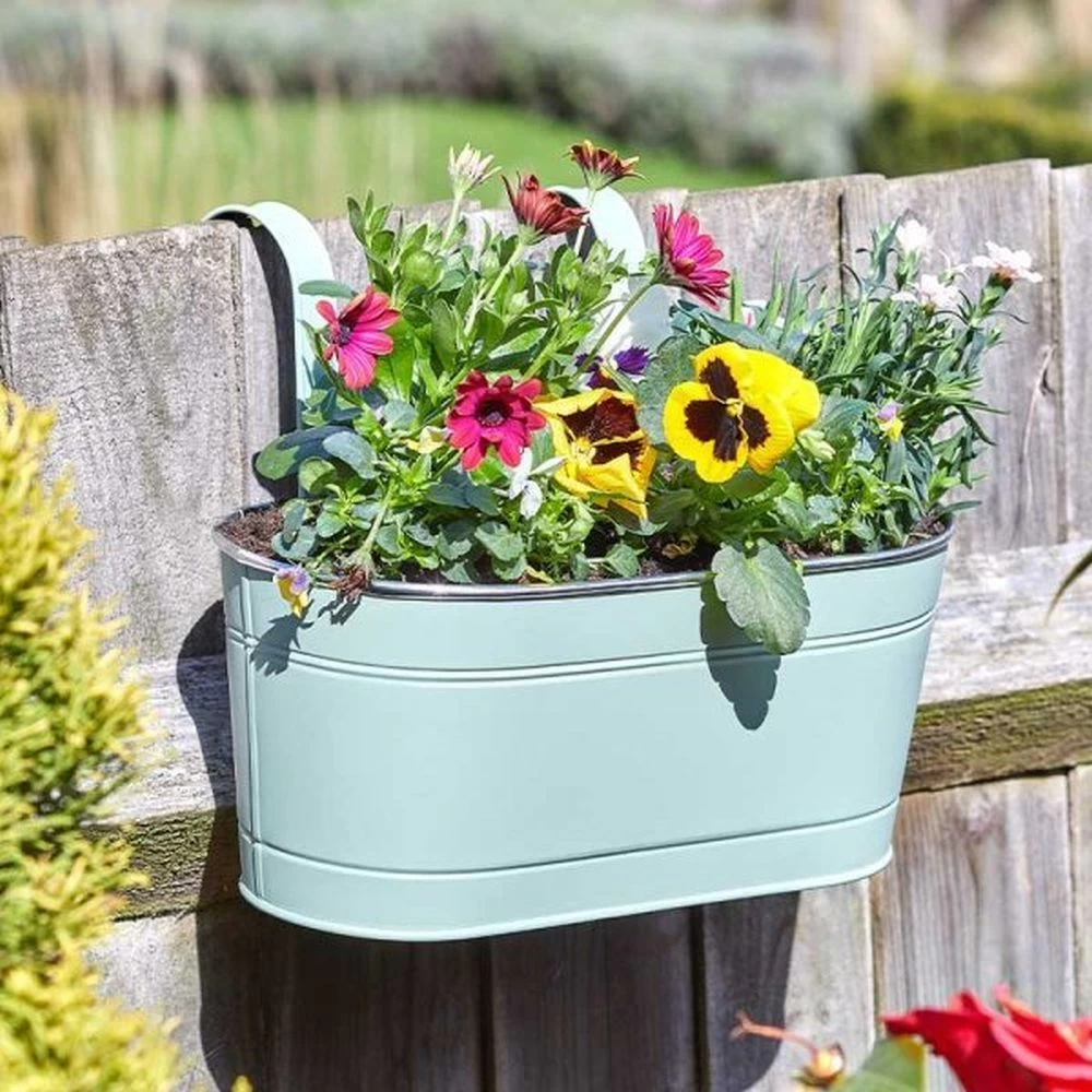 Smart Garden 30cm (12") Sage Fence & Balcony Hanging Planter 3 Smart Garden 30cm (12") Sage Fence & Balcony Hanging Planter