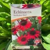 Echinacea 'Sunseekers Red' 3Ltr Pot 2 Echinacea 'Sunseekers Red' 3Ltr Pot -Gardenia Shop 5050704640403 801b3b7a af0c 46ee b023 91fb8305ab79