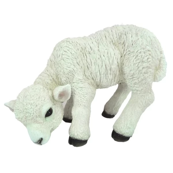 Vivid Arts 31cm Standing Lamb - XRL-LAMB-D 3 Vivid Arts 31cm Standing Lamb - XRL-LAMB-D