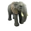 Vivid Arts 55cm Elephant Resin - XRL-ELPH-A -Gardenia Shop 5055195016249