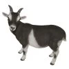 Vivid Arts 29cm Standing Goat- XRL-GOAT-D 2 Vivid Arts 29cm Standing Goat- XRL-GOAT-D -Gardenia Shop 5055195017475
