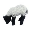 Vivid Arts 31cm Black / White Standing Lamb - XRL-BLLB-D -Gardenia Shop 5055195017697