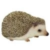 Vivid Arts 13cm Pet Pals Pygmy Hedgehog - PP-PHED-F -Gardenia Shop 5055195019943
