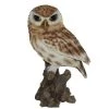 Vivid Arts 22cm Little Owl - XRL-LTWL-D 2 Vivid Arts 22cm Little Owl - XRL-LTWL-D -Gardenia Shop 5055195019981 6c6be2ff 1f1b 44e8 9a32 cdc02d0af566