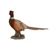 Vivid Arts 52cm Pheasant - XRL-NT04 -Gardenia Shop 5055195020789 7ad3e4d2 7c33 4dad b878 58606602649f