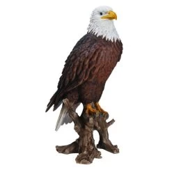 Vivid Arts 40cm American Bald Eagle - XRL-BLDE-B