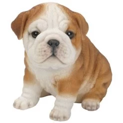 Vivid Arts 19cm Bulldog Puppy Pet Pals - PP-BDOG-F