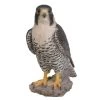 Vivid Arts 25cm Peregrine Falcon - XRL-PFAL-B -Gardenia Shop 5055195025807