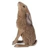 Vivid Arts 35cm Moon Gazing Hare - XRL-HR01-A 2 Vivid Arts 35cm Moon Gazing Hare - XRL-HR01-A -Gardenia Shop 5055195036582