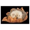 Vivid Arts Baby Hedgehog Sleeping On Leaf XRL-HH09-F -Gardenia Shop 5055195037596