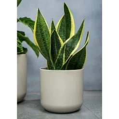 Ivyline 18.5cm White Lisbon Planter -Gardenia Shop 5055352842049 2