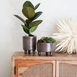 Ivyline 19cm Mocha Pisa Bowl Indoor Houseplant Pot -Gardenia Shop 5055352850235 3