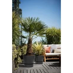 Elho 25cm Living Black Greenville Round Planter -Gardenia Shop 8711904332334 5