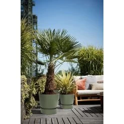 Elho 25cm Leaf Green Greenville Round Planter 10 Elho 25cm Leaf Green Greenville Round Planter -Gardenia Shop 8711904332433 4