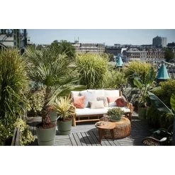 Elho 25cm Leaf Green Greenville Round Planter 11 Elho 25cm Leaf Green Greenville Round Planter -Gardenia Shop 8711904332433 5