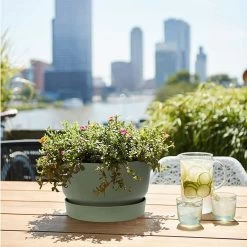 Elho 33cm Leaf Green Greenville Bowl Planter -Gardenia Shop 8711904332464 4