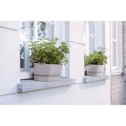 Elho 50cm Living Concrete Greenvillle Long Trough Planter -Gardenia Shop 8711904358440 4