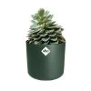 Elho 25cm Leaf Green B.For Soft Round Pot 1 Elho 25cm Leaf Green B.For Soft Round Pot -Gardenia Shop 8711904494551 c98b32dd edd0 40ef acf0 4f28152f3877